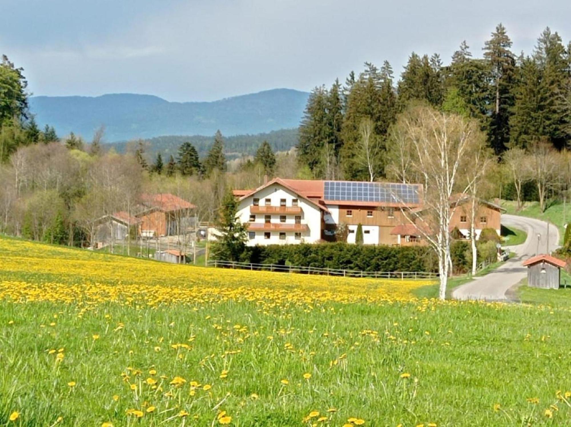 منزل الضيف Kollnburg  في Ferienbauernhof Mehlbach المظهر الخارجي الصورة
