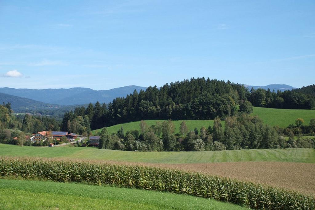 منزل الضيف Kollnburg  في Ferienbauernhof Mehlbach المظهر الخارجي الصورة
